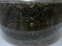 DSC00926.JPG