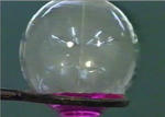 anmonia13.jpg