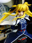 DSCF3016.jpg