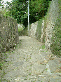DSCF2684.jpg