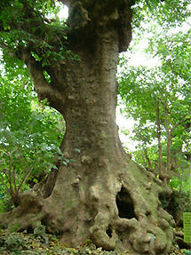 DSCF2692.jpg