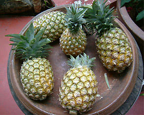 DSCF2721.jpg