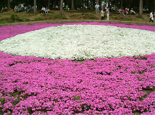 DSCF2858.jpg