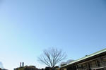 DSC_3643.JPG