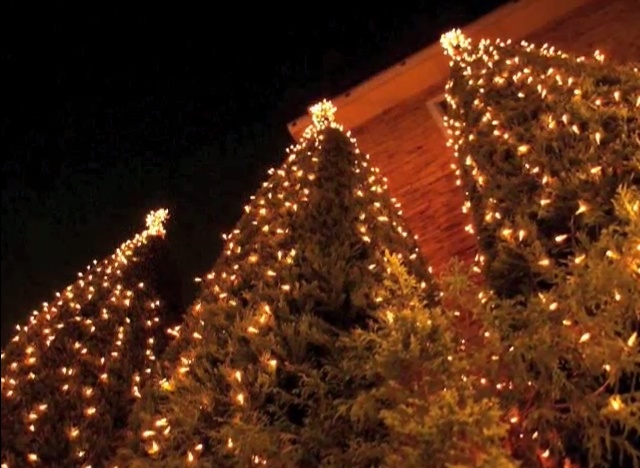 イルミネーションの飾り方 樹木 クリスマスを楽しむためのガイド