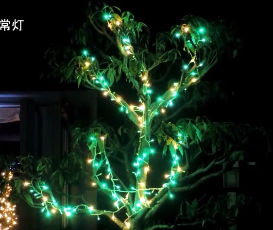 イルミネーションの飾り方 樹木 クリスマスを楽しむためのガイド
