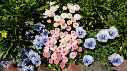 20120402_3.jpg