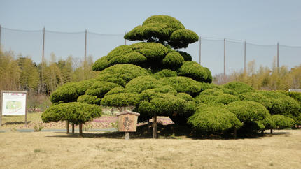 20120402_4.jpg