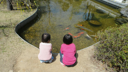 20120402_10.jpg