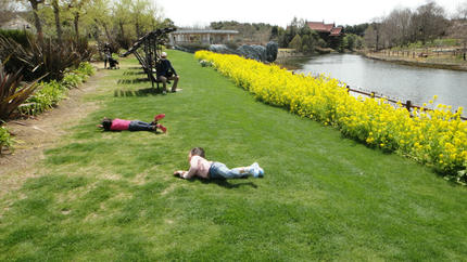 20120402_9.jpg