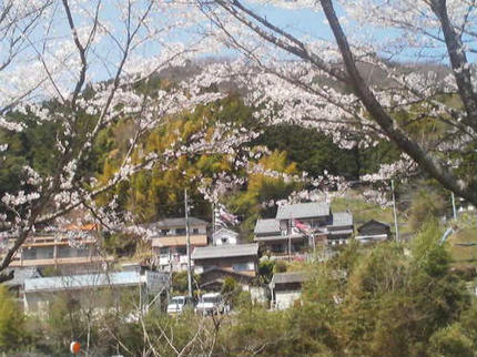 20120412_2.jpg
