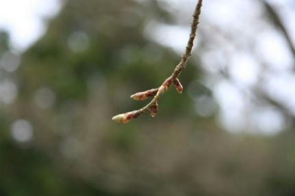 20120413.jpg