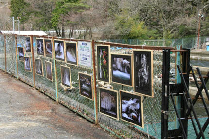 20120415_3.jpg