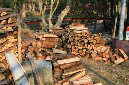 20120417.jpg