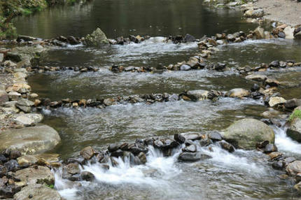 20120423_1.jpg