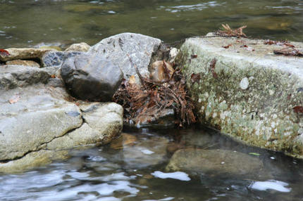 20120423_2.jpg