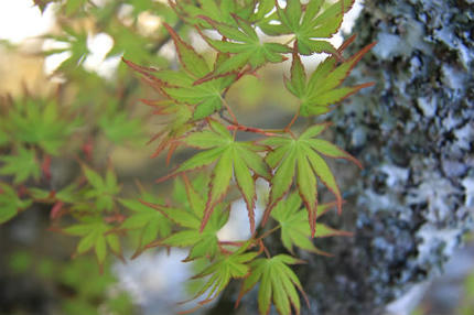 20120428_1.jpg