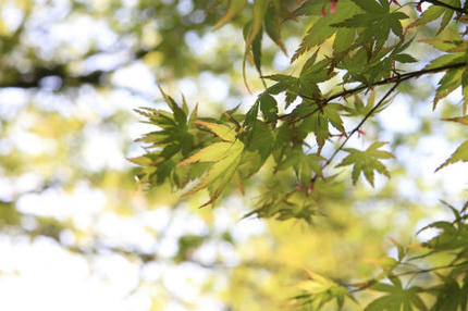 20120428_2.jpg