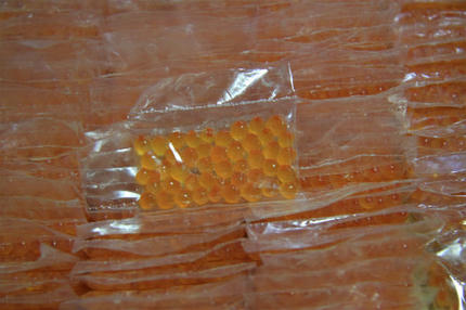 20120502.jpg