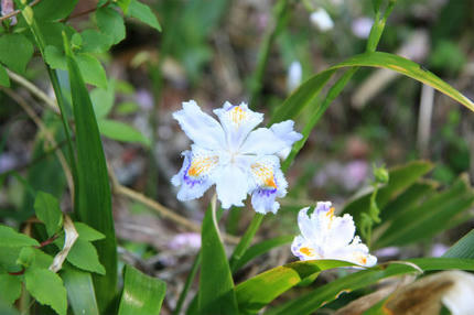 20120510_2.jpg
