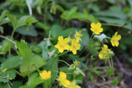20120511_1.jpg