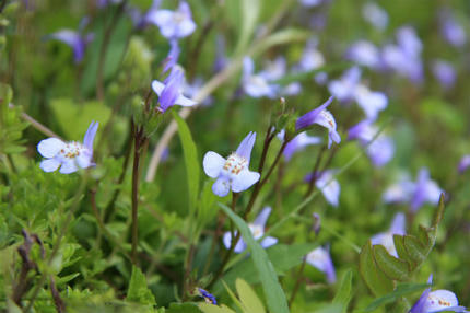 20120511_2.jpg