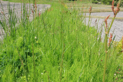 20120514_1.jpg
