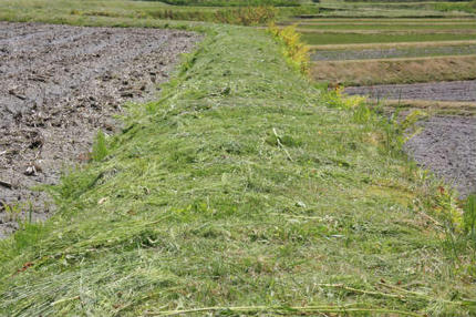 20120514_2.jpg