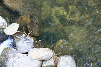 20120523.jpg