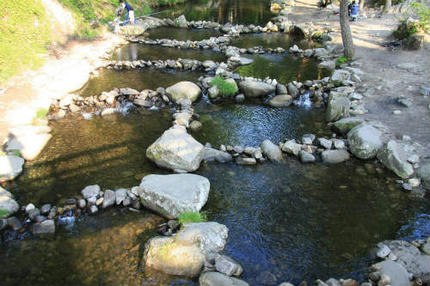 20120527.jpg