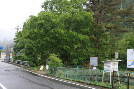 20120603.jpg