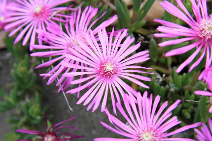 20120608_6.jpg