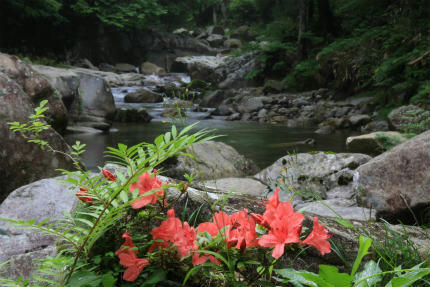 20120609_3.jpg