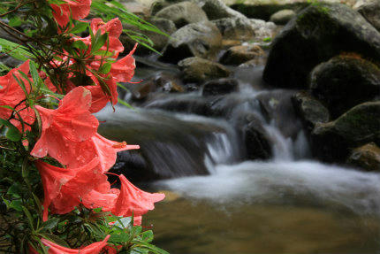 20120609_4.jpg