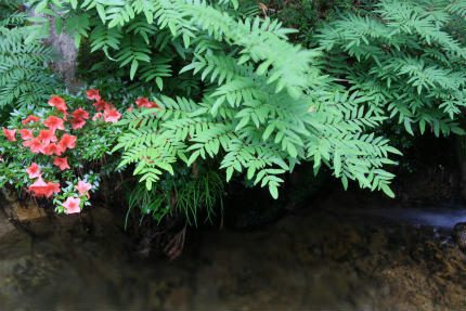 20120609_5.jpg