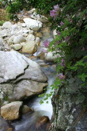 20120609_1.jpg