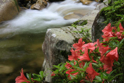 20120609_2.jpg