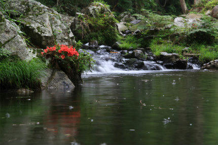 20120612_2.jpg