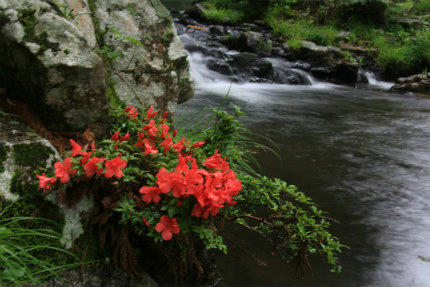 20120612_3.jpg