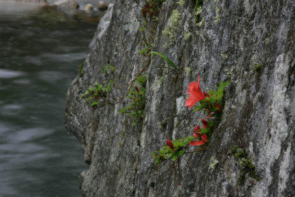 20120612_4.jpg
