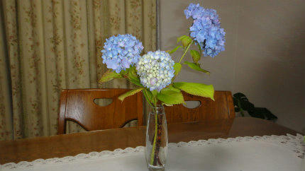 20120613_1.jpg