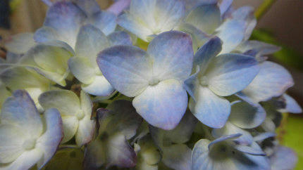 20120613_2.jpg