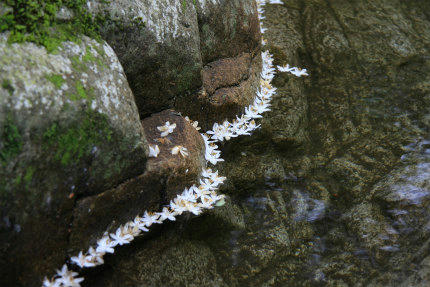 20120615_2.jpg