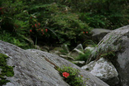 20120615_3.jpg