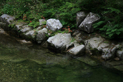 20120615_4.jpg