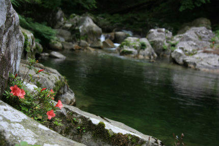 20120615_5.jpg