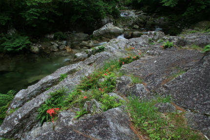 20120615_6.jpg