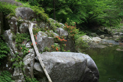 20120615_7.jpg