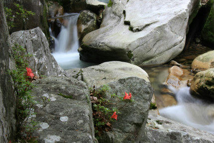 20120615_8.jpg