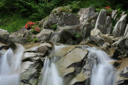 20120615_9.jpg
